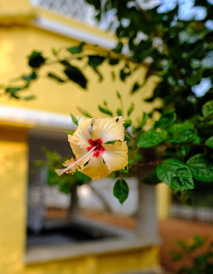 Parul - Elegant Heritage Home At The Heart Of Shantiniketan Exterior foto